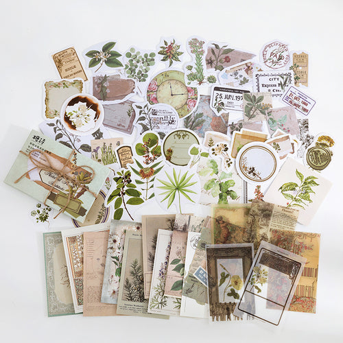 Plant Collection Paper Pack B