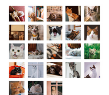 Load image into Gallery viewer, My Cat Sticker, 2 Packs

