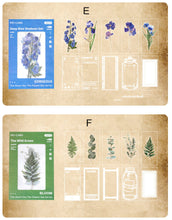 Load image into Gallery viewer, Aesthetic Plants PET Sticker
