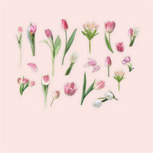 Load image into Gallery viewer, Fresh Floral Bujo Decorative Sticker

