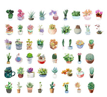 Load image into Gallery viewer, Fresh Succulent Sticker, 2 Packs - Stationery &amp; More
