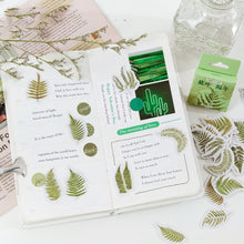 Load image into Gallery viewer, Cute Fern Journal Sticker, 2 Packs
