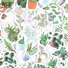 Load image into Gallery viewer, Green Pot Plants Sticker, 2 Packs - Stationery &amp; More
