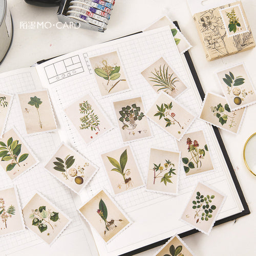 Plants Illustration Sticker, 2 Packs - Stationery & More