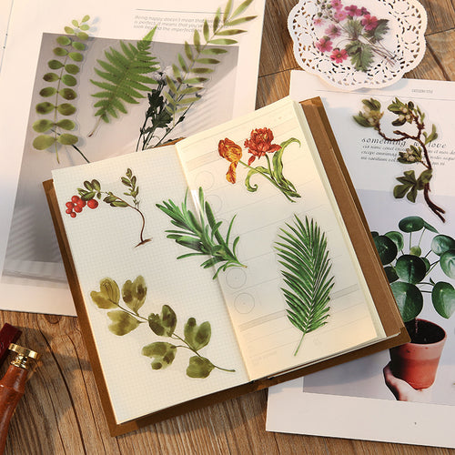 Nature Collection DIY Sticker - Stationery & More