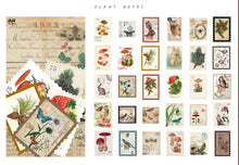 Load image into Gallery viewer, Time Post Office Series Vintage Sticker - Stationery &amp; More
